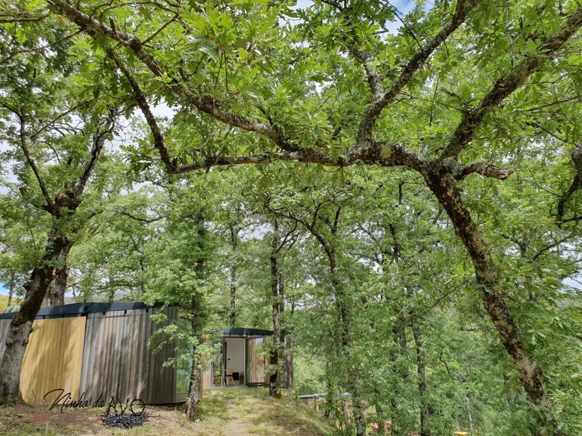 Ninho Da Avó Selvagem Lodge *