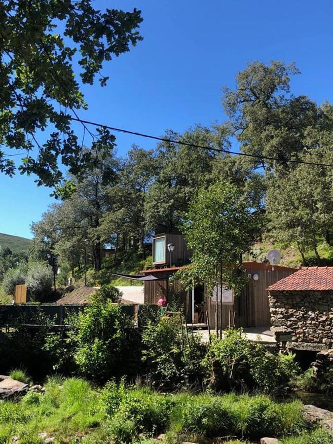 Ninho Da Avo Selvagem Montalegre