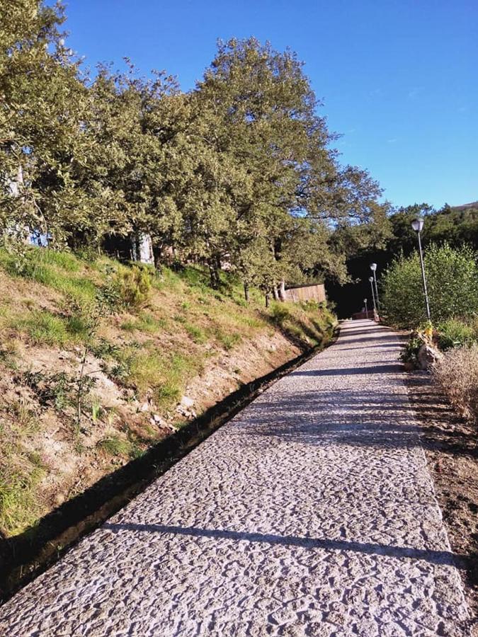 Lodge Ninho Da Avó Selvagem